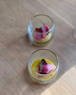 Soirée Saveurs et Cordes au Domaine Naumad. Restauration et concert privé {{brizy_dc_image_alt imageSrc=