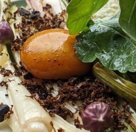 {{brizy_dc_image_alt imageSrc=